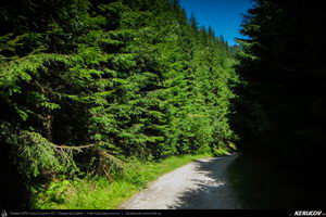 Trasee cu bicicleta MTB XC - Traseu MTB Muntii Capatanii: Petrimanu - Curmatura Oltetului - Polovragi - Horezu - Tomsani - Babeni (Lacul Petrimanu - Lacul Galbenu - Pasul Curmatura Oltetului - Cheile Oltetului) de Andrei Vocurek