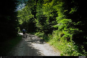 Trasee cu bicicleta MTB XC - Traseu MTB Muntii Capatanii: Petrimanu - Curmatura Oltetului - Polovragi - Horezu - Tomsani - Babeni (Lacul Petrimanu - Lacul Galbenu - Pasul Curmatura Oltetului - Cheile Oltetului) de Andrei Vocurek