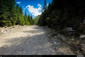 Trasee cu bicicleta MTB XC - Traseu MTB Muntii Capatanii: Petrimanu - Curmatura Oltetului - Polovragi - Horezu - Tomsani - Babeni (Lacul Petrimanu - Lacul Galbenu - Pasul Curmatura Oltetului - Cheile Oltetului) de Andrei Vocurek