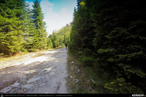 Trasee cu bicicleta MTB XC - Traseu MTB Muntii Capatanii: Petrimanu - Curmatura Oltetului - Polovragi - Horezu - Tomsani - Babeni (Lacul Petrimanu - Lacul Galbenu - Pasul Curmatura Oltetului - Cheile Oltetului) de Andrei Vocurek
