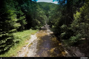 Trasee cu bicicleta MTB XC - Traseu MTB Muntii Capatanii: Petrimanu - Curmatura Oltetului - Polovragi - Horezu - Tomsani - Babeni (Lacul Petrimanu - Lacul Galbenu - Pasul Curmatura Oltetului - Cheile Oltetului) de Andrei Vocurek