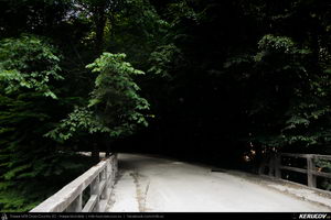 Trasee cu bicicleta MTB XC - Traseu MTB Muntii Capatanii: Petrimanu - Curmatura Oltetului - Polovragi - Horezu - Tomsani - Babeni (Lacul Petrimanu - Lacul Galbenu - Pasul Curmatura Oltetului - Cheile Oltetului) de Andrei Vocurek