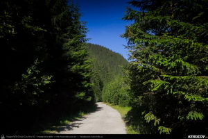 Trasee cu bicicleta MTB XC - Traseu MTB Muntii Capatanii: Petrimanu - Curmatura Oltetului - Polovragi - Horezu - Tomsani - Babeni (Lacul Petrimanu - Lacul Galbenu - Pasul Curmatura Oltetului - Cheile Oltetului) de Andrei Vocurek