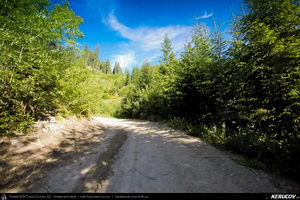 Trasee cu bicicleta MTB XC - Traseu MTB Muntii Capatanii: Petrimanu - Curmatura Oltetului - Polovragi - Horezu - Tomsani - Babeni (Lacul Petrimanu - Lacul Galbenu - Pasul Curmatura Oltetului - Cheile Oltetului) de Andrei Vocurek