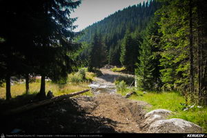 Trasee cu bicicleta MTB XC - Traseu MTB Muntii Capatanii: Petrimanu - Curmatura Oltetului - Polovragi - Horezu - Tomsani - Babeni (Lacul Petrimanu - Lacul Galbenu - Pasul Curmatura Oltetului - Cheile Oltetului) de Andrei Vocurek