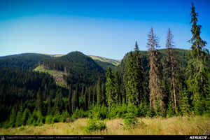 Trasee cu bicicleta MTB XC - Traseu MTB Muntii Capatanii: Petrimanu - Curmatura Oltetului - Polovragi - Horezu - Tomsani - Babeni (Lacul Petrimanu - Lacul Galbenu - Pasul Curmatura Oltetului - Cheile Oltetului) de Andrei Vocurek