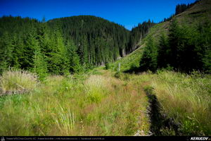 Trasee cu bicicleta MTB XC - Traseu MTB Muntii Capatanii: Petrimanu - Curmatura Oltetului - Polovragi - Horezu - Tomsani - Babeni (Lacul Petrimanu - Lacul Galbenu - Pasul Curmatura Oltetului - Cheile Oltetului) de Andrei Vocurek