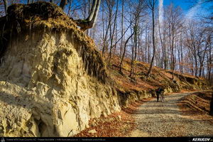 Trasee cu bicicleta MTB XC - Traseu MTB Fieni - Runcu - Raul Alb - Sipot - Vulcana Bai - Sotanga - Targoviste (Schitul Bunea si Padurea Vulcana) de Andrei Vocurek