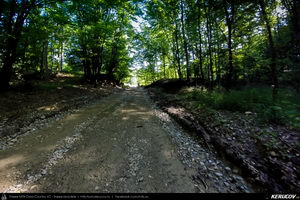 Trasee cu bicicleta MTB XC - Traseu MTB Floresti - Moreni - I.L. Caragiale - Ratoaia - Dobra - Titu (Micul Trianon - cazemata germana - Zimbraria Neagra Bucsani) de Andrei Vocurek