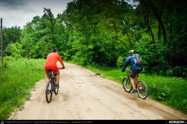 Traseu cu bicicleta MTB XC Gaesti - Slobozia - Glavacioc - Negrasi - Mozacu - Rascaeti - Gaesti (Manastirea Glavacioc si Poiana cu narcise Negrasi) - KERUCOV .ro © 2007 - 2025 || #traseecubicicleta #mtb #ssp