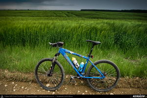 Trasee cu bicicleta MTB XC - Traseu MTB Gaesti - Slobozia - Glavacioc - Negrasi - Mozacu - Rascaeti - Gaesti (Manastirea Glavacioc si Poiana cu narcise Negrasi) de Andrei Vocurek
