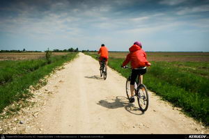 Trasee cu bicicleta MTB XC - Traseu MTB Gaesti - Slobozia - Glavacioc - Negrasi - Mozacu - Rascaeti - Gaesti (Manastirea Glavacioc si Poiana cu narcise Negrasi) de Andrei Vocurek
