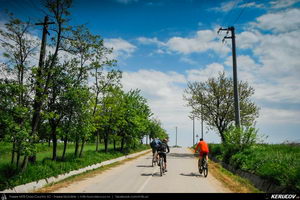 Trasee cu bicicleta MTB XC - Traseu MTB Gaesti - Slobozia - Glavacioc - Negrasi - Mozacu - Rascaeti - Gaesti (Manastirea Glavacioc si Poiana cu narcise Negrasi) de Andrei Vocurek