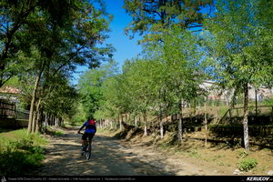 Trasee cu bicicleta MTB XC - Traseu MTB Golesti - Stefanesti - Mioveni - Bajesti - Colibasi - Fagetu - Golesti (Curtea lui Mares Bajescu, Cula Racovita, Conacul Golesti) de Andrei Vocurek