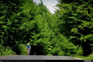 Trasee cu bicicleta MTB XC - Traseu MTB Golesti - Stefanesti - Mioveni - Bajesti - Colibasi - Fagetu - Golesti (Curtea lui Mares Bajescu, Cula Racovita, Conacul Golesti) de Andrei Vocurek