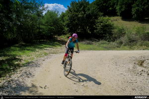 Trasee cu bicicleta MTB XC - Traseu MTB Golesti - Stefanesti - Mioveni - Bajesti - Colibasi - Fagetu - Golesti (Curtea lui Mares Bajescu, Cula Racovita, Conacul Golesti) de Andrei Vocurek