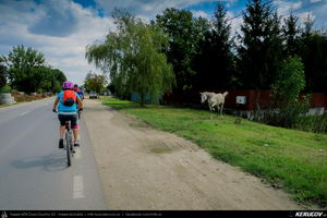 Trasee cu bicicleta MTB XC - Traseu MTB Golesti - Stefanesti - Mioveni - Bajesti - Colibasi - Fagetu - Golesti (Curtea lui Mares Bajescu, Cula Racovita, Conacul Golesti) de Andrei Vocurek