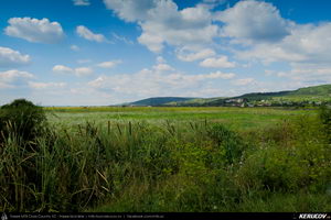 Trasee cu bicicleta MTB XC - Traseu MTB Golesti - Stefanesti - Mioveni - Bajesti - Colibasi - Fagetu - Golesti (Curtea lui Mares Bajescu, Cula Racovita, Conacul Golesti) de Andrei Vocurek