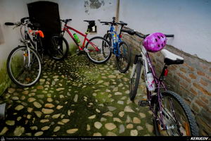Trasee cu bicicleta MTB XC - Traseu MTB Golesti - Stefanesti - Mioveni - Bajesti - Colibasi - Fagetu - Golesti (Curtea lui Mares Bajescu, Cula Racovita, Conacul Golesti) de Andrei Vocurek