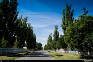 Trasee cu bicicleta MTB XC - Traseu MTB Lehliu Gara - Crasanii de Jos - Axintele - Horia - Fantana Doamnei - Lehliu Gara (Campia Baraganului, Piscul Crasani - cetatea dacica) de Andrei Vocurek