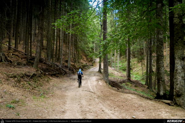 Traseu cu bicicleta MTB XC Masivul Piatra Craiului: Zarnesti - Cabana Gura Raului - Prapastiile Zarnestilor - spre Cabana Curmatura (varianta familie, copil de 1 an) - KERUCOV .ro © 2007 - 2025 || #traseecubicicleta #mtb #ssp