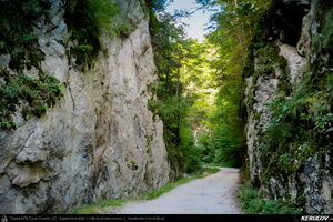 Trasee cu bicicleta MTB XC - Traseu MTB Masivul Piatra Craiului: Zarnesti - Cabana Gura Raului - Prapastiile Zarnestilor - spre Cabana Curmatura (varianta familie, copil de 1 an) de Andrei Vocurek