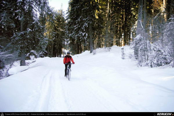 Traseu cu bicicleta MTB XC Predeal - Cabana Susai - Valea Limbaselului - Azuga - KERUCOV .ro © 2007 - 2025 || #traseecubicicleta #mtb #ssp