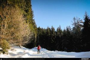 Trasee cu bicicleta MTB XC - Traseu MTB Predeal - Cabana Susai - Valea Limbaselului - Azuga de Andrei Vocurek