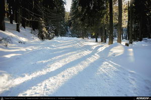 Trasee cu bicicleta MTB XC - Traseu MTB Predeal - Cabana Susai - Valea Limbaselului - Azuga de Andrei Vocurek