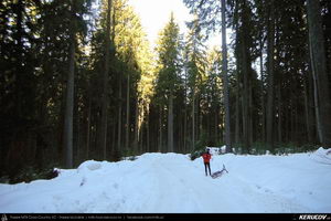 Trasee cu bicicleta MTB XC - Traseu MTB Predeal - Cabana Susai - Valea Limbaselului - Azuga de Andrei Vocurek