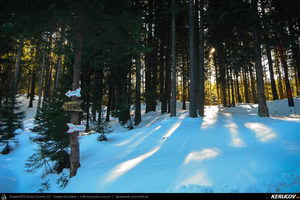 Trasee cu bicicleta MTB XC - Traseu MTB Predeal - Cabana Susai - Valea Limbaselului - Azuga de Andrei Vocurek