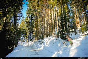 Trasee cu bicicleta MTB XC - Traseu MTB Predeal - Cabana Susai - Valea Limbaselului - Azuga de Andrei Vocurek