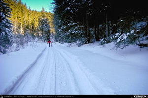 Trasee cu bicicleta MTB XC - Traseu MTB Predeal - Cabana Susai - Valea Limbaselului - Azuga de Andrei Vocurek