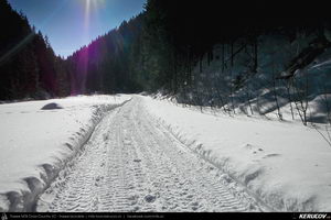 Trasee cu bicicleta MTB XC - Traseu MTB Predeal - Cabana Susai - Valea Limbaselului - Azuga de Andrei Vocurek