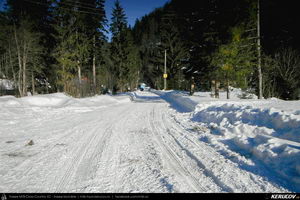 Trasee cu bicicleta MTB XC - Traseu MTB Predeal - Cabana Susai - Valea Limbaselului - Azuga de Andrei Vocurek