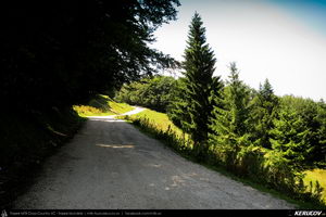 Trasee cu bicicleta MTB XC - Traseu MTB Muntii Postavaru: Predeal - Cabana Trei Brazi - Cabana Poiana Secuilor (varianta familie, copil de 1 an) de Andrei Vocurek