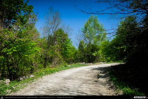 Trasee cu bicicleta MTB XC - Traseu MTB Topoloveni Bike Adventure - TBA Primavara 2015: Topoloveni - Botarcani - Crintesti - Glambocelu - Baila - Topoloveni (concurs MTB) de Andrei Vocurek