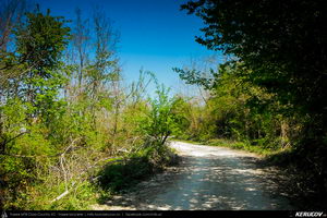Trasee cu bicicleta MTB XC - Traseu MTB Topoloveni Bike Adventure - TBA Primavara 2015: Topoloveni - Botarcani - Crintesti - Glambocelu - Baila - Topoloveni (concurs MTB) de Andrei Vocurek
