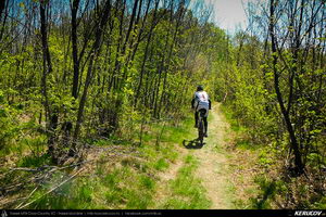 Trasee cu bicicleta MTB XC - Traseu MTB Topoloveni Bike Adventure - TBA Primavara 2015: Topoloveni - Botarcani - Crintesti - Glambocelu - Baila - Topoloveni (concurs MTB) de Andrei Vocurek