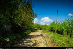 Trasee cu bicicleta MTB XC - Traseu MTB Topoloveni Bike Adventure - TBA Primavara 2015: Topoloveni - Botarcani - Crintesti - Glambocelu - Baila - Topoloveni (concurs MTB) de Andrei Vocurek