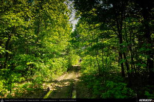 Trasee cu bicicleta MTB XC - Traseu MTB Topoloveni Bike Adventure - TBA Primavara 2015: Topoloveni - Botarcani - Crintesti - Glambocelu - Baila - Topoloveni (concurs MTB) de Andrei Vocurek