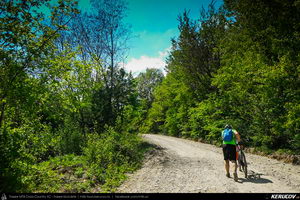 Trasee cu bicicleta MTB XC - Traseu MTB Topoloveni Bike Adventure - TBA Primavara 2015: Topoloveni - Botarcani - Crintesti - Glambocelu - Baila - Topoloveni (concurs MTB) de Andrei Vocurek