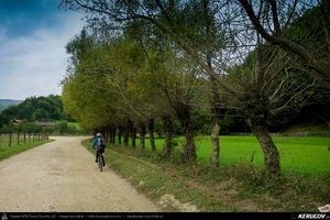 Trasee cu bicicleta MTB XC - Traseu MTB Zarnesti - Valea Barsei - Cabana Plaiul Foii - Zarnesti (varianta familie, copil de 1 an) de Andrei Vocurek