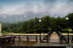 Trasee cu bicicleta MTB XC - Traseu MTB Zarnesti - Valea Barsei - Cabana Plaiul Foii - Zarnesti (varianta familie, copil de 1 an) de Andrei Vocurek