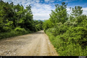 Trasee cu bicicleta MTB XC - Traseu MTB Muntii Buzaului - Tinutul Buzaului: Berca - Cozieni - Ulmet - Odaile - Scortoasa - Policiori - Berca (Trovantii sau Babele de la Ulmet, Vulcanii Noroiosi) de Andrei Vocurek