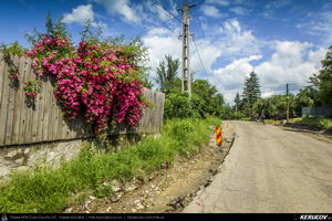 Trasee cu bicicleta MTB XC - Traseu MTB Muntii Buzaului - Tinutul Buzaului: Berca - Cozieni - Ulmet - Odaile - Scortoasa - Policiori - Berca (Trovantii sau Babele de la Ulmet, Vulcanii Noroiosi) de Andrei Vocurek