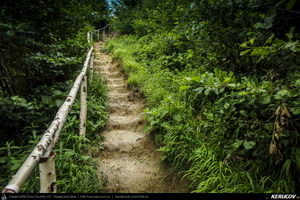 Trasee cu bicicleta MTB XC - Traseu MTB Muntii Buzaului - Tinutul Buzaului: Berca - Cozieni - Ulmet - Odaile - Scortoasa - Policiori - Berca (Trovantii sau Babele de la Ulmet, Vulcanii Noroiosi) de Andrei Vocurek