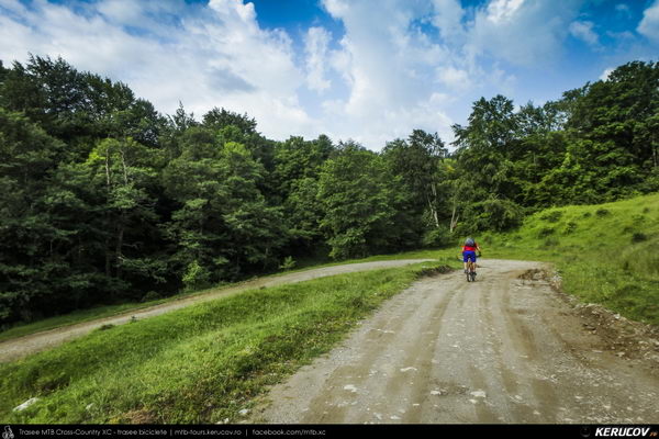Traseu cu bicicleta MTB XC Tara Lovistei: Gara Lotru - Perisani - Pripoare - Salatrucu - Suici - Robaia - Calimanesti (Masivul Cozia, Posada de la Perisani si Valea Topologului) - KERUCOV .ro © 2007 - 2025 || #traseecubicicleta #mtb #ssp