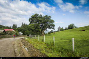 Trasee cu bicicleta MTB XC - Traseu MTB Tara Lovistei: Gara Lotru - Perisani - Pripoare - Salatrucu - Suici - Robaia - Calimanesti (Masivul Cozia, Posada de la Perisani si Valea Topologului) de Andrei Vocurek