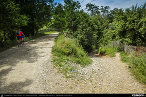 Trasee cu bicicleta MTB XC - Traseu MTB Tara Lovistei: Gara Lotru - Perisani - Pripoare - Salatrucu - Suici - Robaia - Calimanesti (Masivul Cozia, Posada de la Perisani si Valea Topologului) de Andrei Vocurek